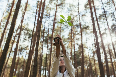 Plant trees in nature